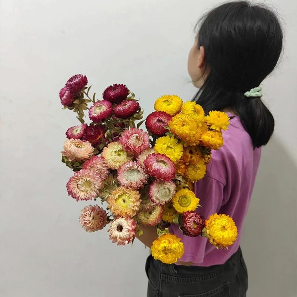 Dried Flowers Bulk Etsy