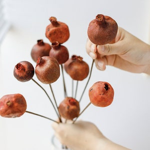dried  natural Punica stems，natural Punica fruits， vase filling，Fall style decor，floral arrangement， vase filling，boho decorhome decoration