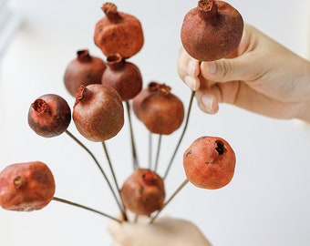 dried  natural Punica stems，natural Punica fruits， vase filling，Fall style decor，floral arrangement， vase filling，boho decorhome decoration