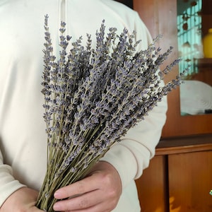 Dried lavender bunch， natural lavender flower，dried flower arrangement，vase filling，home decor，lavender decoration，wedding flower decor，