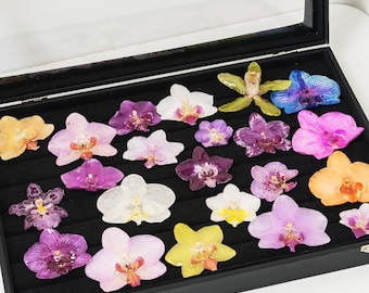 20 type resin orchid head, real orchid flower head，DIY floral for jewelry/necklace/ring/charm/earring,DIY charm making、resin flowers