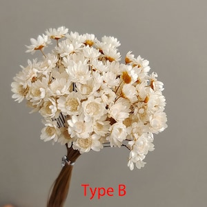 50/100 peças de mini flores de margarida secas, buquê de flores naturais, arranjo de flores, material para artesanato faça você mesmo, material para guirlanda, enchimento de vaso, decoração de casamento