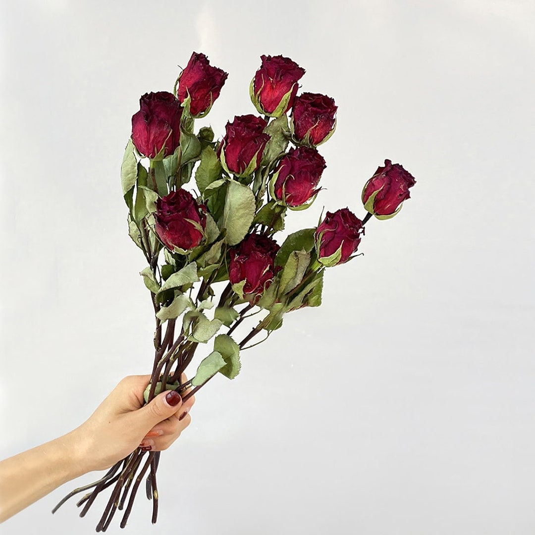 10 Stems Dried Roses Flower With Stemsnatural Roses Flowers ,flowers Arrangement ,vase Filler