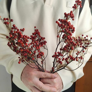 Getrocknete rote Früchte, roter Blumenstrauß, getrocknete rote Früchte, Dekoration für Heimwerker, Hochzeit, Blumenschmuck