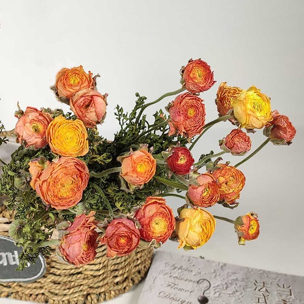 dried Ranunculus  bnunch，natural Ranunculus  flowers bouquet，dried flowers arrangement，home decoration，flowers bouquet for vase