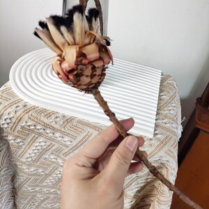 natural protea Neriifolia stemsdried protea flowernatural flower for vase fillingflower arrangementhome decorwedding decor image 4