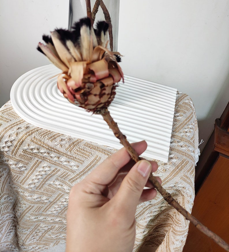 natural protea Neriifolia stemsdried protea flowernatural flower for vase fillingflower arrangementhome decorwedding decor image 4