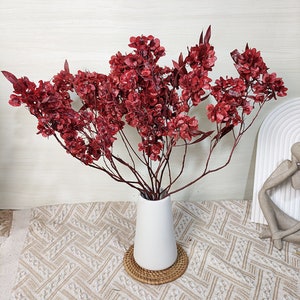 preserved red Iris flower  bundle，dried  Dodonaea bunch，dried flower arrangement，dry flower for vase filler，home wedding floral decor