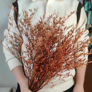 preserved orange lover grass  bunch，dried  grass bundle，vase filler，dried flower arrangement，Wreath making， Autumn wedding scene，home decor，