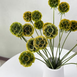 May include: A bouquet of dried green and yellow globe thistle flowers in a white ceramic vase on a white table.