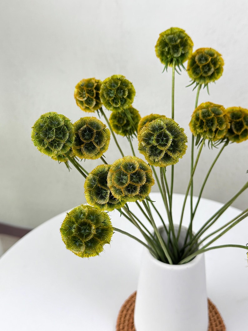 May include: A bouquet of dried green and yellow globe thistle flowers in a white ceramic vase on a white table.