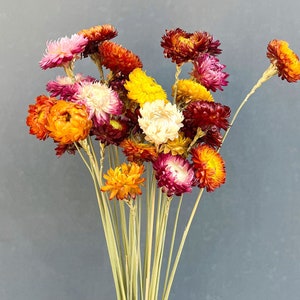 Dried yellow/purple strawflowers bunch，handmade chrysanthemum flower，flowers arrangement，flowers for vase filler，wedding decor，home decor