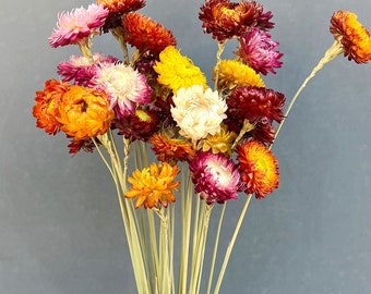 Dried yellow/purple strawflowers bunch，handmade chrysanthemum flower，flowers arrangement，flowers for vase filler，wedding decor，home decor