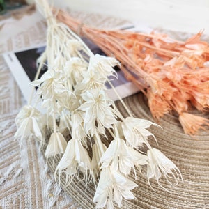 gedroogde witte/kampioen Nigella-bloem, bos natuurlijke bloemen, gedroogd bloemstuk, handgemaakte materialen, decor bruiloftbloem, interieurdecoratie