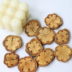 Puede incluir: Una colección de rodajas secas, marrones, en forma de flor, con patrones intrincados, junto a una vela blanca en forma de burbuja. Las rodajas tienen un interior marrón claro y un borde exterior marrón más oscuro.