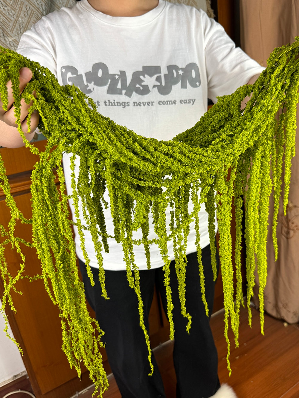 5 pcs green Hanging Amaranthus flower,preserved Amaranthus bunch,dried flower art,hanging flower decor,wedding arch decor,background decor