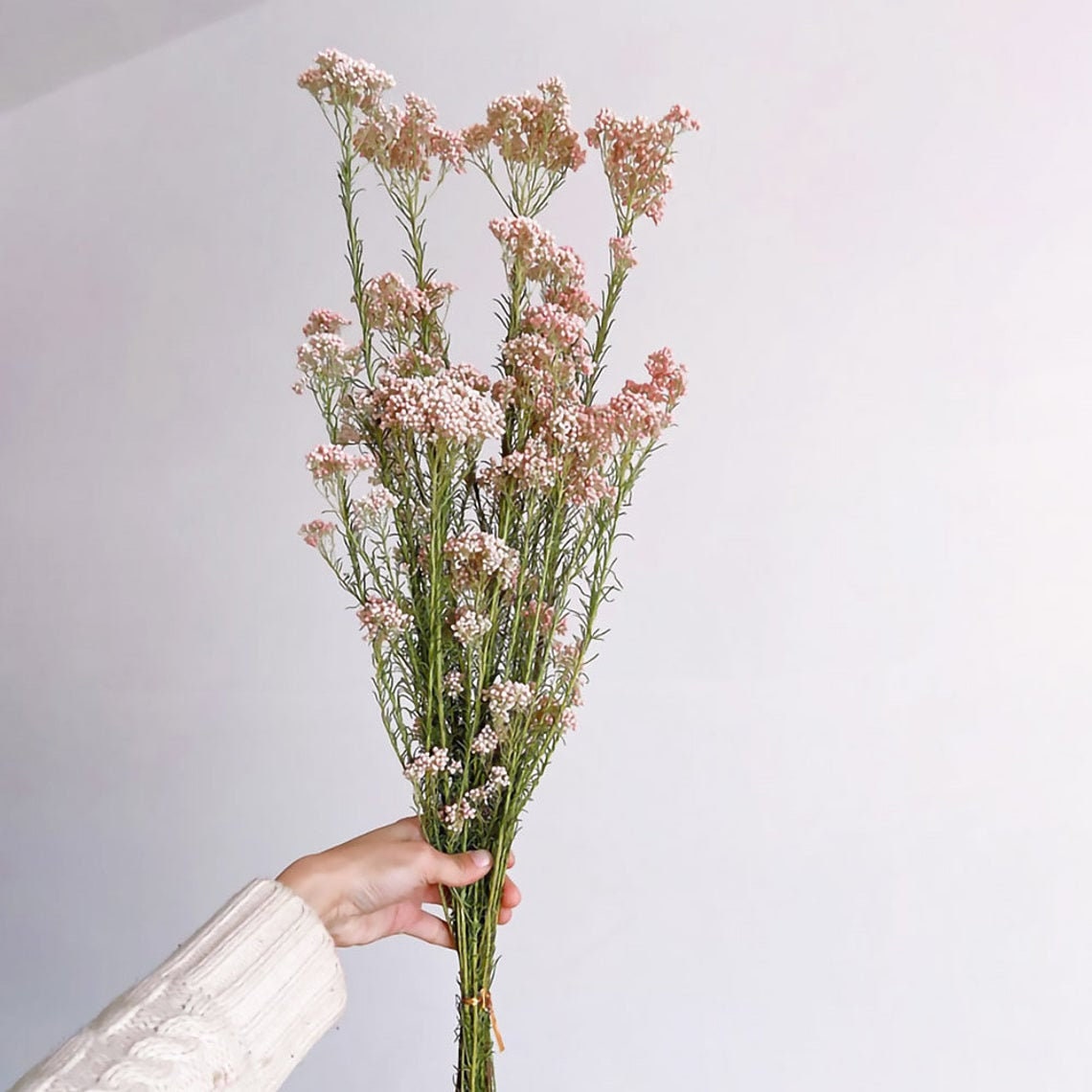 Dried AUS Rice Flowers Bundlenatural Rice Flowers Bouquetdry Etsy