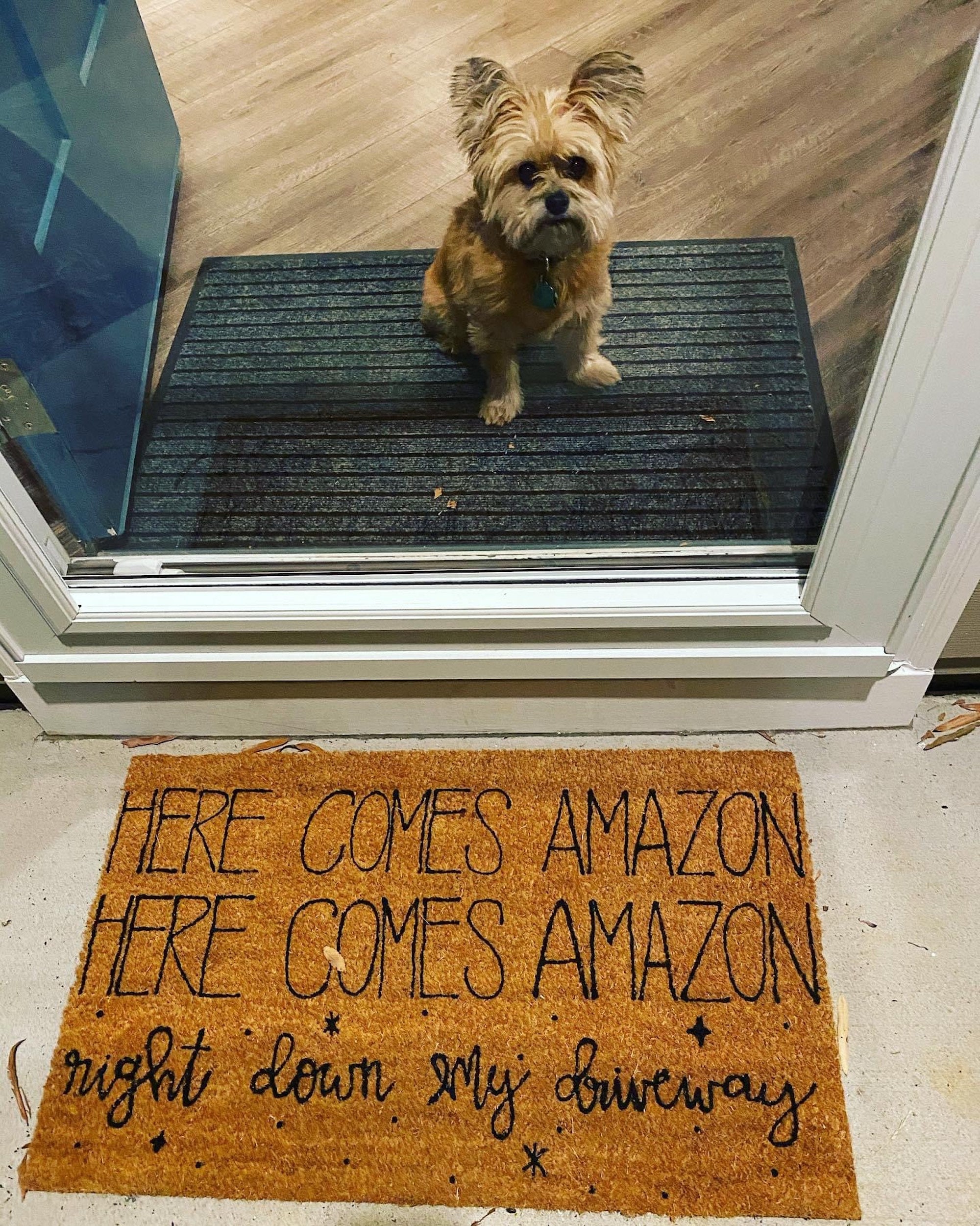 Funny Christmas Doormats Christmas Decor Funny Mat Etsy