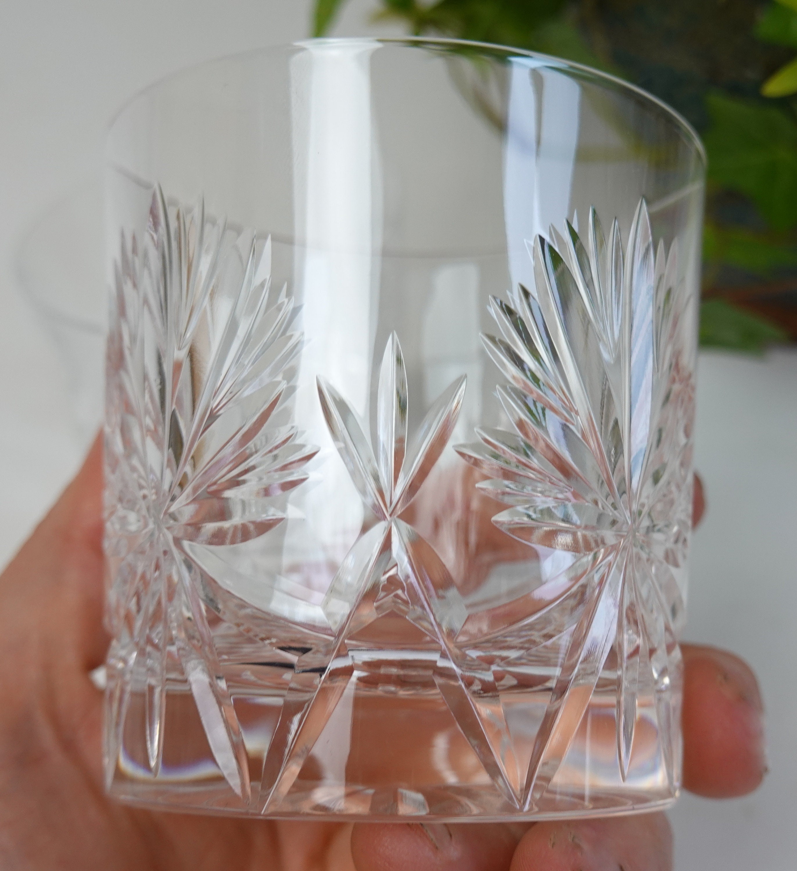 Two Edinburgh Crystal Star of Edinburgh Pattern Whisky Tumblers Glasses
