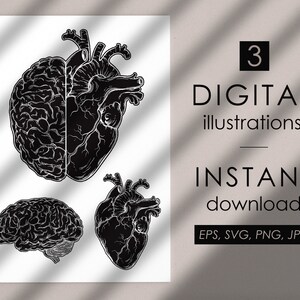 May include: Three black and white illustrations of a brain, a heart, and a brain and heart combined. The illustrations are in a vintage style.
