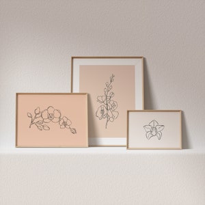 May include: Three framed prints with line drawings of orchids in black on a peach background. The frames are light wood.