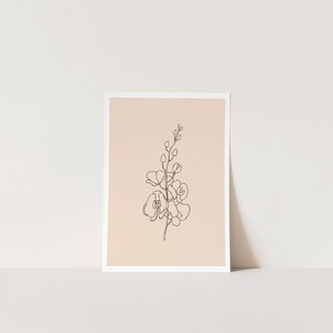 May include: A line drawing of an orchid flower on a peach background.