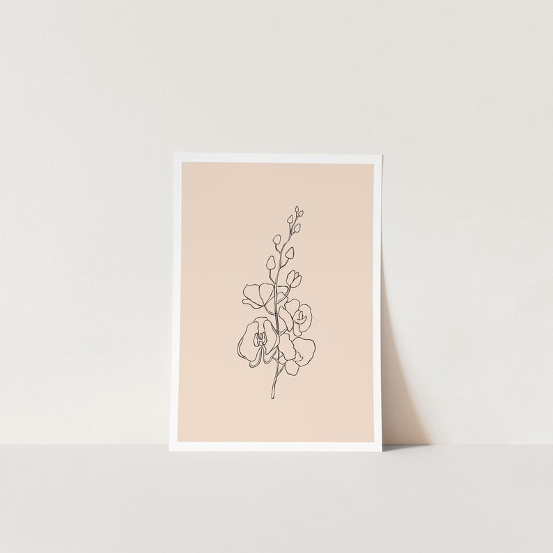 May include: A line drawing of an orchid flower on a peach background.