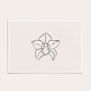 May include: A simple line drawing of an orchid flower in black on a cream background.