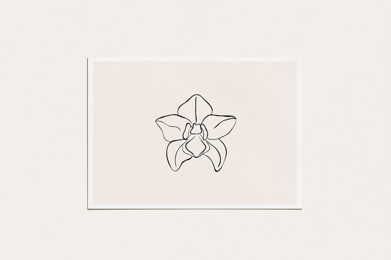 May include: A simple line drawing of an orchid flower in black on a cream background.