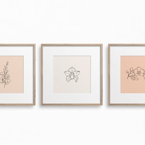 May include: Three framed prints with line drawings of orchids on a peach background. The prints are in simple wooden frames.