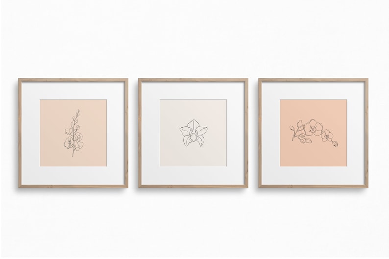 May include: Three framed prints with line drawings of orchids on a peach background. The prints are in simple wooden frames.