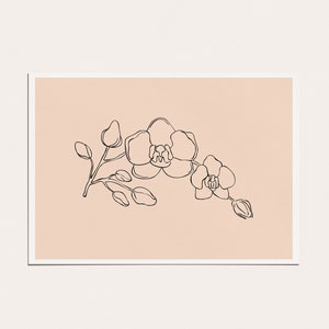 May include: A line drawing of a branch of orchid flowers on a light pink background.