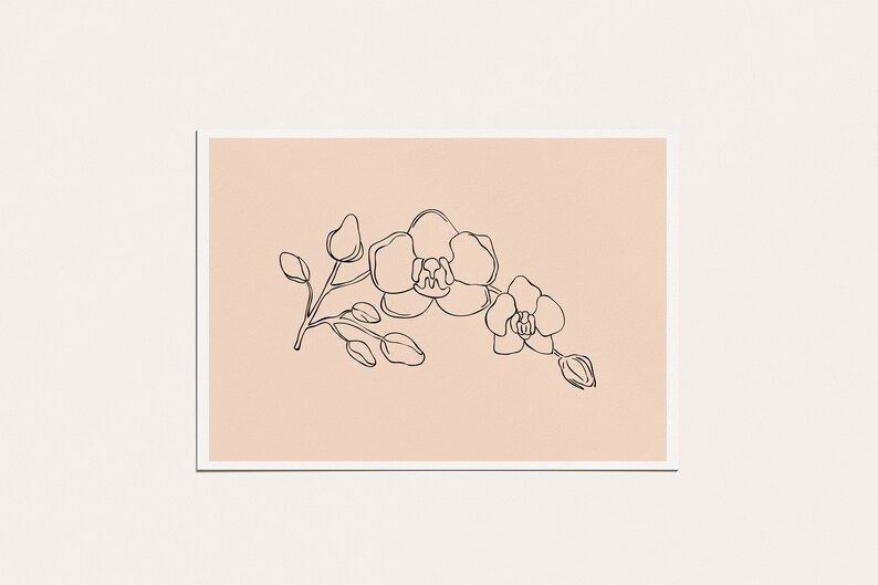 May include: A line drawing of a branch of orchid flowers on a light pink background.
