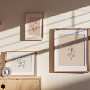 May include: Three framed prints of line drawings of flowers on a light beige wall. The prints are in wooden frames and are arranged in a staggered pattern. The wall is illuminated by sunlight streaming through a window, casting shadows on the wall.