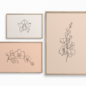 May include: Three framed prints with line drawings of orchids on a white background. The top print has a single orchid, the middle print has a branch of orchids, and the bottom print has a branch of orchids on a peach background.