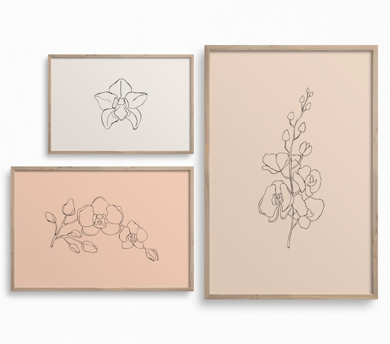 Downloadable Flower Line Art,Set of 3 Orchid Prints,Coral Pink Peach Wall Art,Botanical Printable Art,Botany Print,Boho Floral Wall Decor