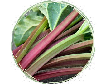 Rhubarb "VICTORIA" Russian High Quality seeds Rhubarb "VICTORIA" Russian High Quality seeds