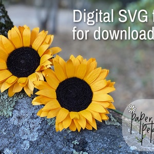 Sunflower SVG, Make your own Paper flowers, Includes SVG Template, Step by Step instructions w/ pictures, DIY, sunflowers, cricut,