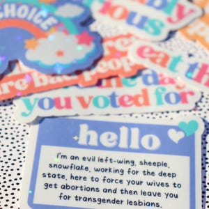 Anti Trump Sticker Pack | I Did That Sticker | Have The Day You Vote For | Eat The Rich | Pro Choice Sticker | Liberal Gifts | Feminist Gift image 2