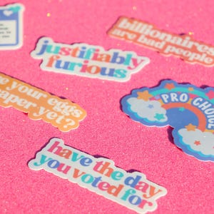 Anti Trump Sticker Pack | I Did That Sticker | Have The Day You Vote For | Eat The Rich | Pro Choice Sticker | Liberal Gifts | Feminist Gift image 8