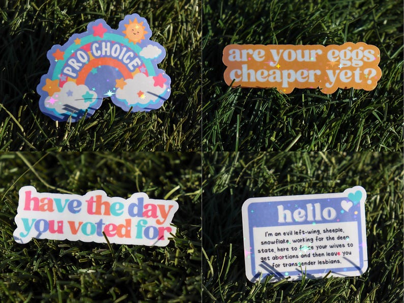 Anti Trump Sticker Pack | I Did That Sticker | Have The Day You Vote For | Eat The Rich | Pro Choice Sticker | Liberal Gifts | Feminist Gift image 5