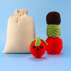 Beginner Strawberry Crochet Kit - Easy Crochet Starter Kit - Crochet Fruit Kit - Food Amigurumi Kit - Crochet Gift - Animal Crochet Store