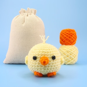 Beginner Chicken Crochet Kit, Easy Crochet Starter Kit, Beginner Crochet Kit, Crochet Pattern & Kit, Crochet Gift