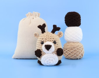 Beginner Crochet Kit Lion by the Woobles Easy First Crochet Starter Kit  Crochet Plushie Kit Amigurumi Kit DIY Craft Kit Gift 