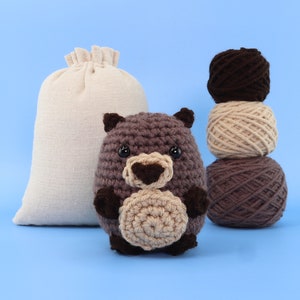 Wooly the Sheep Crochet Kit Crochet Animals Kit Amigurumi Kit Animal  Crochet Crochet Starter Kit includes Follow Along Videos 