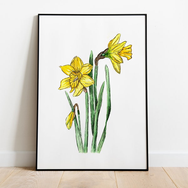 Daffodil flower water colour painting wall art print