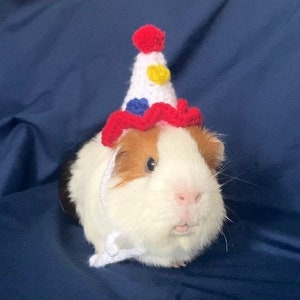 Crochet Party Hat for Guinea Pigs and Other Small Animals