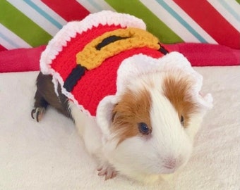 Crocheted Santa Costume for Guinea Pigs