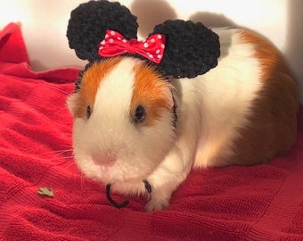 Minnie Mouse Ears for Guinea Pigs and Other Small Animals