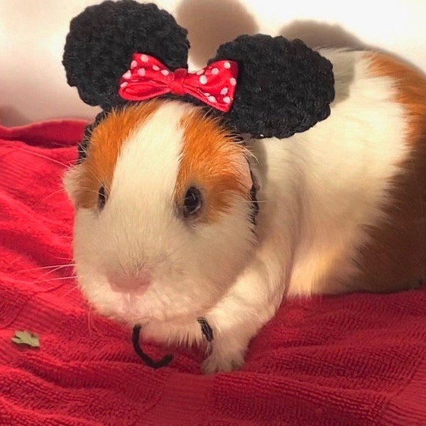 Minnie Mouse Ears for Guinea Pigs and Other Small Animals